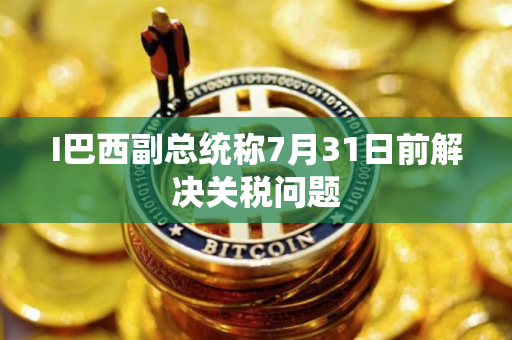 I巴西副总统称7月31日前解决关税问题