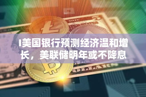 I美国银行预测经济温和增长，美联储明年或不降息