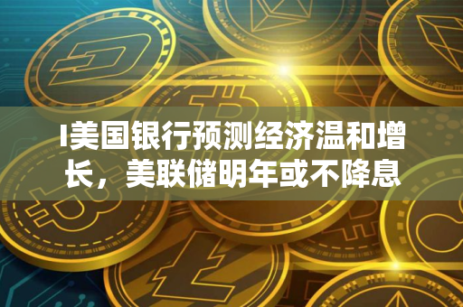 I美国银行预测经济温和增长，美联储明年或不降息