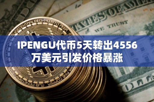 IPENGU代币5天转出4556万美元引发价格暴涨
