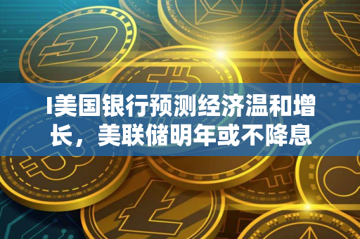 I美国银行预测经济温和增长，美联储明年或不降息