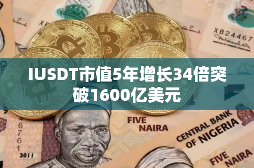 IUSDT市值5年增长34倍突破1600亿美元