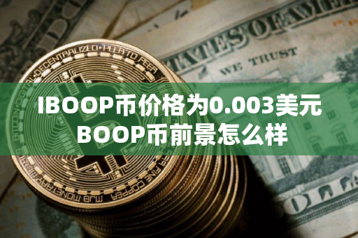 IBOOP币价格为0.003美元 BOOP币前景怎么样