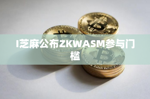 I芝麻公布ZKWASM参与门槛