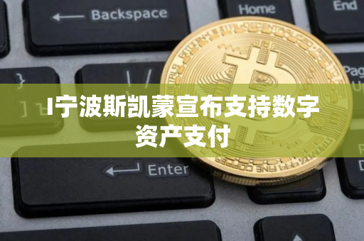 I宁波斯凯蒙宣布支持数字资产支付