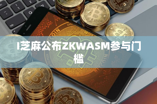 I芝麻公布ZKWASM参与门槛