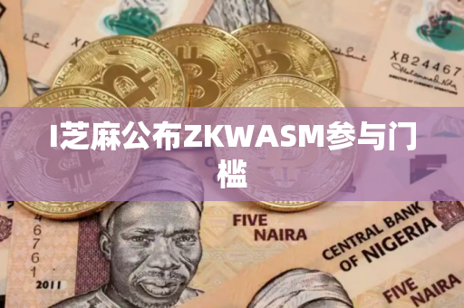 I芝麻公布ZKWASM参与门槛