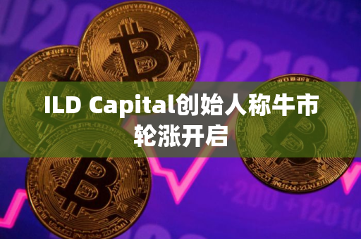 ILD Capital创始人称牛市轮涨开启