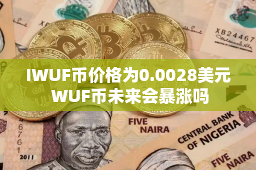 IWUF币价格为0.0028美元 WUF币未来会暴涨吗