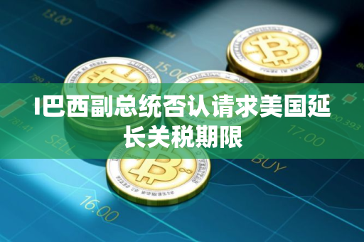 I巴西副总统否认请求美国延长关税期限
