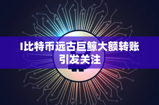 I比特币远古巨鲸大额转账引发关注