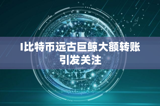 I比特币远古巨鲸大额转账引发关注 I比特币远古巨鲸大额转账引发关注