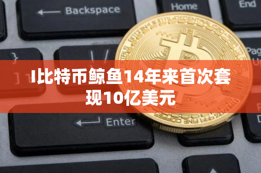 I比特币鲸鱼14年来首次套现10亿美元