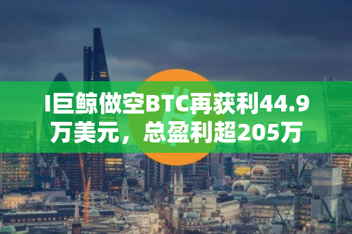I巨鲸做空BTC再获利44.9万美元，总盈利超205万