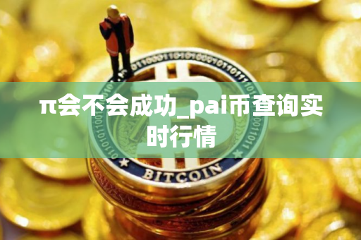 π会不会成功_pai币查询实时行情