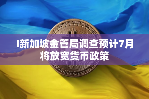 I新加坡金管局调查预计7月将放宽货币政策