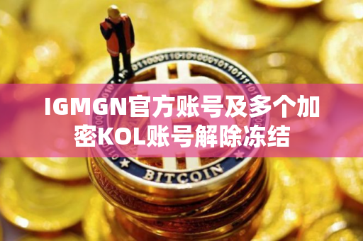 IGMGN官方账号及多个加密KOL账号解除冻结
