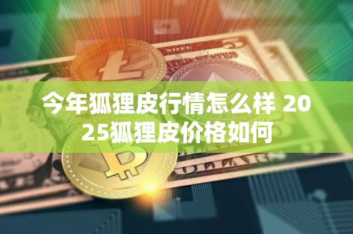今年狐狸皮行情怎么样 2025狐狸皮价格如何