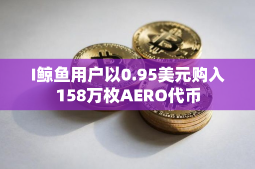I鲸鱼用户以0.95美元购入158万枚AERO代币