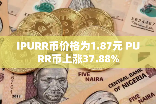 IPURR币价格为1.87元 PURR币上涨37.88%