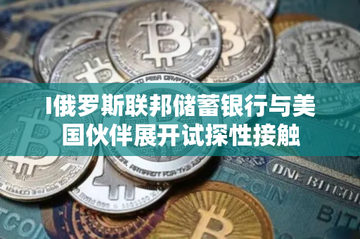 I俄罗斯联邦储蓄银行与美国伙伴展开试探性接触 I俄罗斯联邦储蓄银行与美国伙伴展开试探性接触