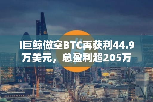 I巨鲸做空BTC再获利44.9万美元，总盈利超205万