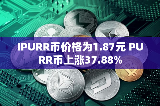 IPURR币价格为1.87元 PURR币上涨37.88%