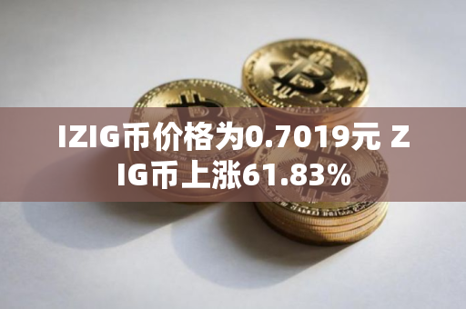 IZIG币价格为0.7019元 ZIG币上涨61.83%