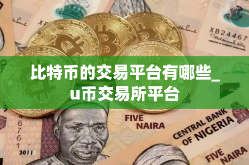 比特币的交易平台有哪些_u币交易所平台