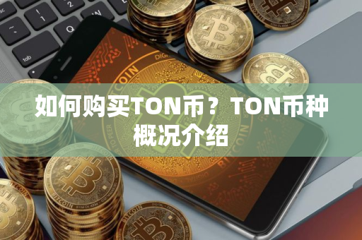 如何购买TON币？TON币种概况介绍