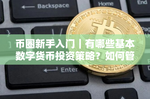 币圈新手入门｜有哪些基本数字货币投资策略？如何管理相关风险？