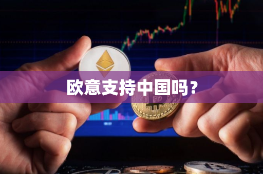 欧意支持中国吗？