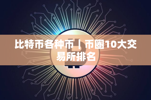 比特币各种币｜币圈10大交易所排名