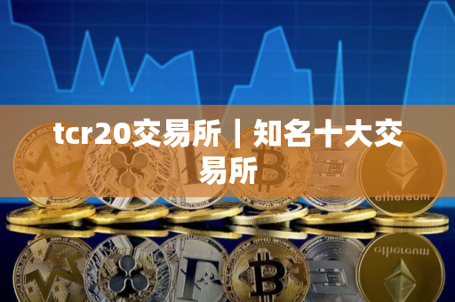 tcr20交易所｜知名十大交易所