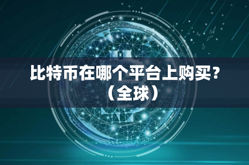 比特币在哪个平台上购买？（全球）