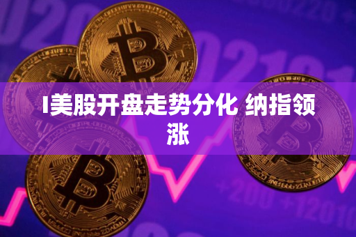 I美股开盘走势分化 纳指领涨