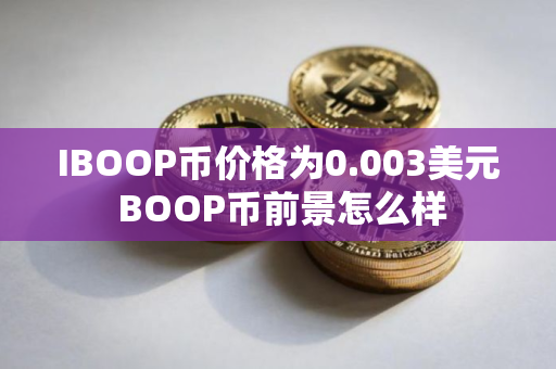 IBOOP币价格为0.003美元 BOOP币前景怎么样