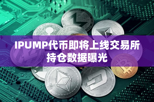 IPUMP代币即将上线交易所持仓数据曝光