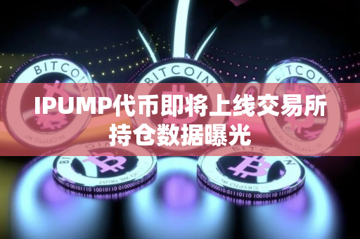 IPUMP代币即将上线交易所持仓数据曝光