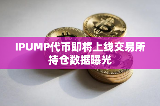 IPUMP代币即将上线交易所持仓数据曝光
