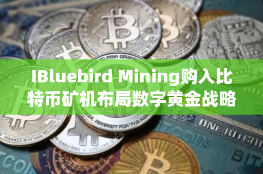 IBluebird Mining购入比特币矿机布局数字黄金战略