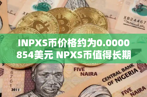 INPXS币价格约为0.0000854美元 NPXS币值得长期投资吗