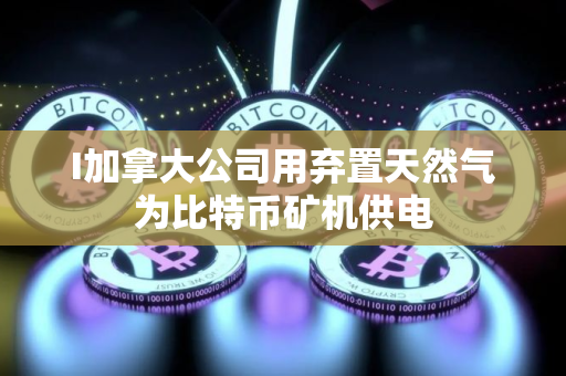 I加拿大公司用弃置天然气为比特币矿机供电