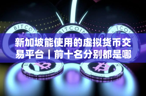新加坡能使用的虚拟货币交易平台｜前十名分别都是哪几所