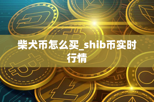 柴犬币怎么买_shib币实时行情