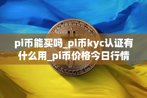 pi币能买吗_pi币kyc认证有什么用_pi币价格今日行情图