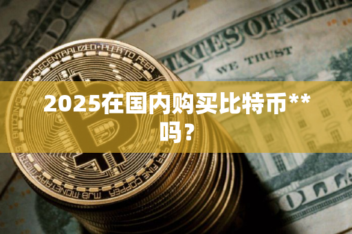 2025在国内购买比特币**吗？