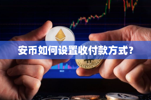 安币如何设置收付款方式？
