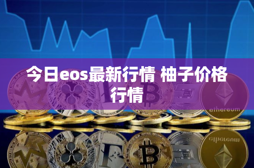 今日eos最新行情 柚子价格行情