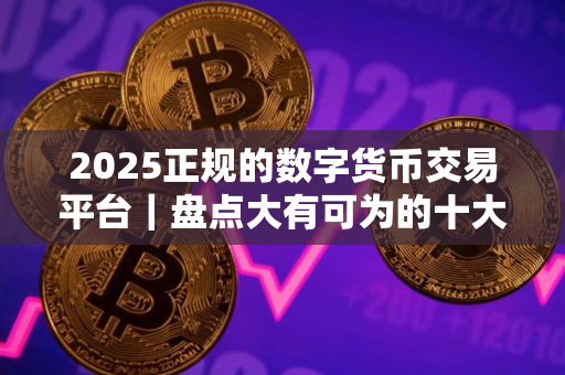 2025正规的数字货币交易平台｜盘点大有可为的十大数字货币交易所
